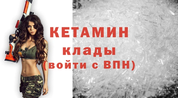 шишки Тайга